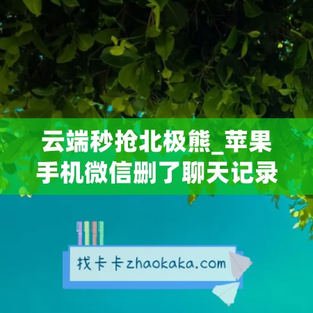 云端秒抢北极熊_苹果手机微信删了聊天记录还能恢复吗(iphone微信删了聊天记录还能恢复吗)