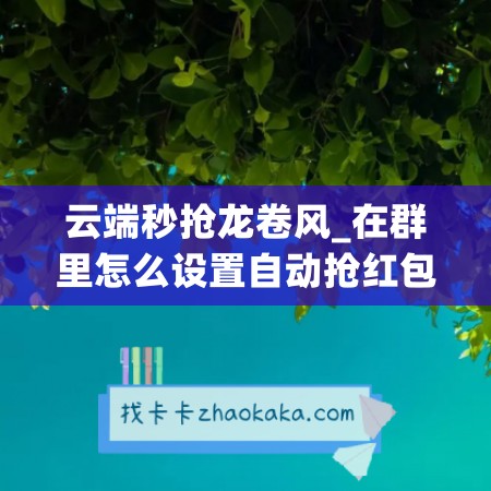 云端秒抢龙卷风_在群里怎么设置<a href=