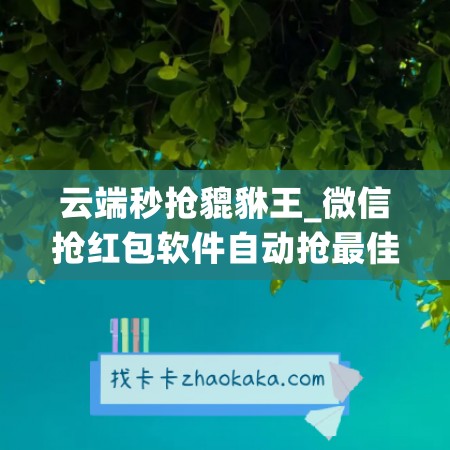 云端秒抢貔貅王_微信抢红包软件自动抢最佳技巧