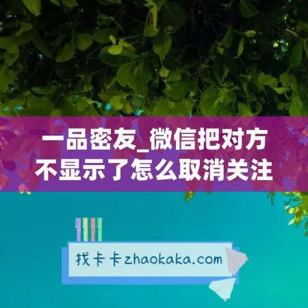 一品密友_微信把对方不显示了怎么取消关注