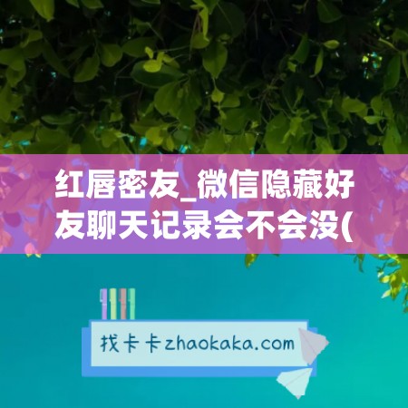 红唇密友_微信隐藏好友聊天记录会不会没(微信隐藏聊天会怎么样)