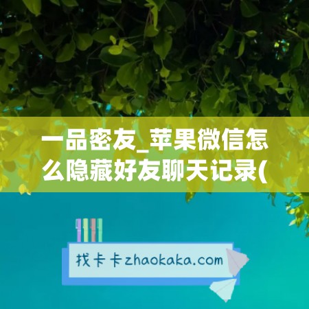 一品密友_苹果微信怎么隐藏好友聊天记录(苹果手机怎么隐藏聊天记录)