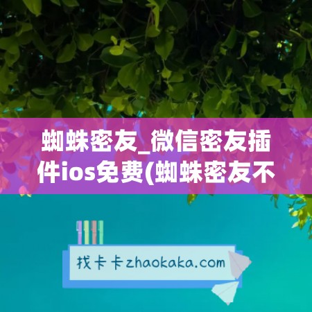 蜘蛛密友_微信密友插件ios免费(蜘蛛密友不付费可以用吗)