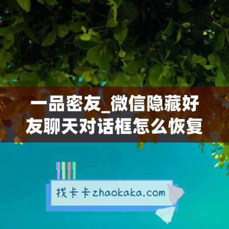 一品密友_微信隐藏好友聊天对话框怎么恢复聊天记录(微信好友聊天隐藏了怎么弄出来)