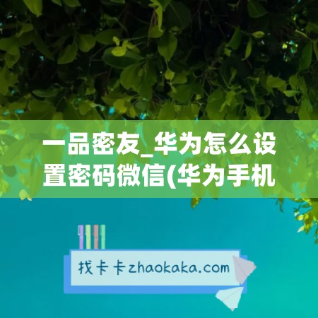 一品密友_华为怎么设置密码微信(华为手机怎么设置密码才能打开微信)