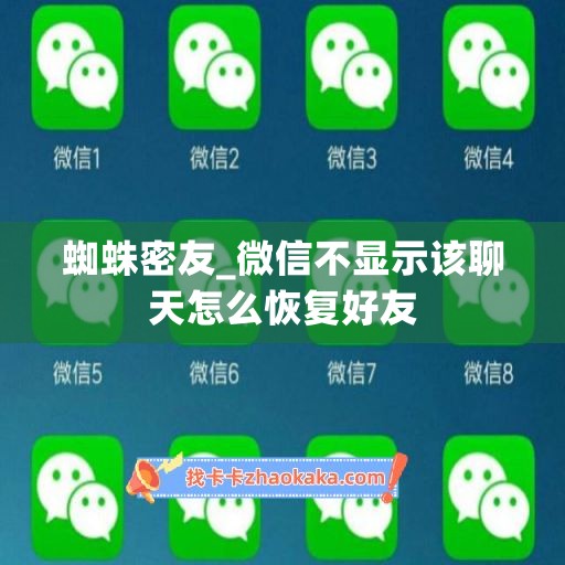 蜘蛛密友_微信不显示该聊天怎么恢复好友