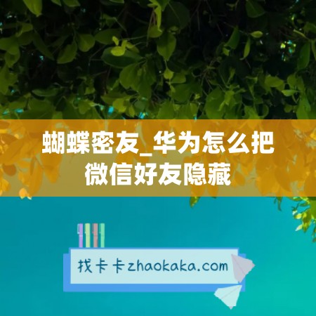 蝴蝶密友_华为怎么把微信好友隐藏