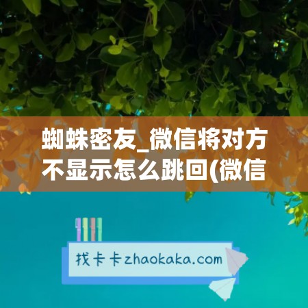 蜘蛛密友_微信将对方不显示怎么跳回(微信将对方设置为不显示)