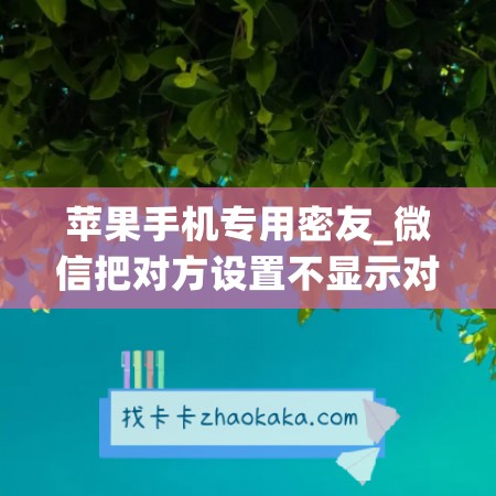 苹果手机专用密友_微信把对方设置不显示对话框(苹果版微信密友显示不出来了)