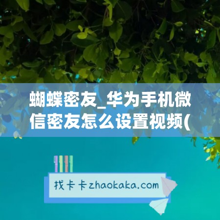 蝴蝶密友_华为手机微信密友怎么设置视频(华为手机微信密友如何设置)