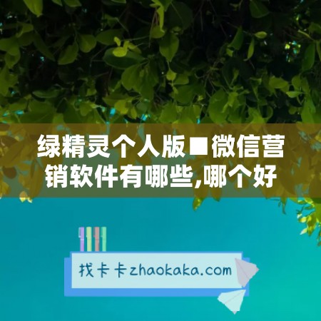 绿精灵个人版■微信营销软件有哪些,哪个好用