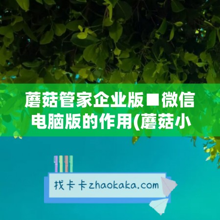 蘑菇管家企业版■微信电脑版的作用(蘑菇小管家功能介绍)