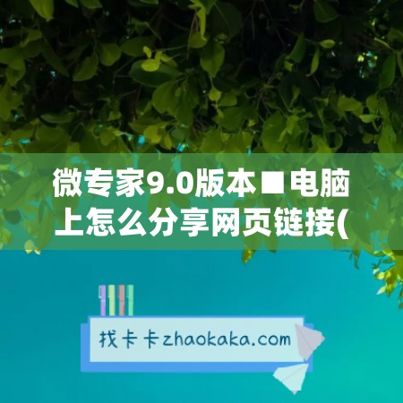 微专家9.0版本■电脑上怎么分享网页链接(如何分享电脑网页到微信)