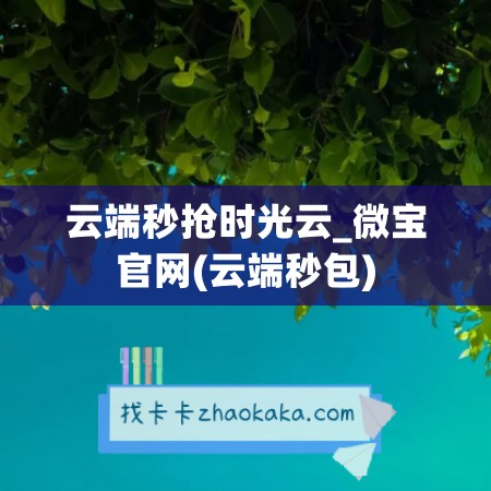 云端秒抢时光云_微宝官网(云端秒包)