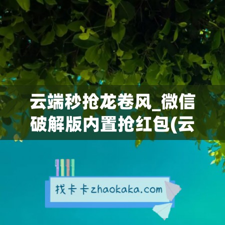 云端秒抢龙卷风_微信破解版内置抢红包(云端秒抢红包什么原理)