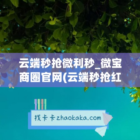 云端秒抢微利秒_微宝商圈官网(云端秒抢红包下载安装)