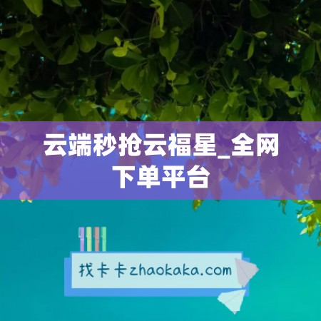 云端秒抢云福星_全网下单平台