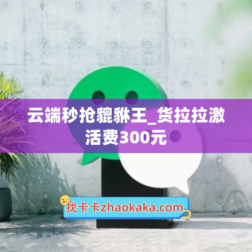 云端秒抢貔貅王_货拉拉激活费300元