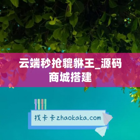 云端秒抢貔貅王_源码商城搭建