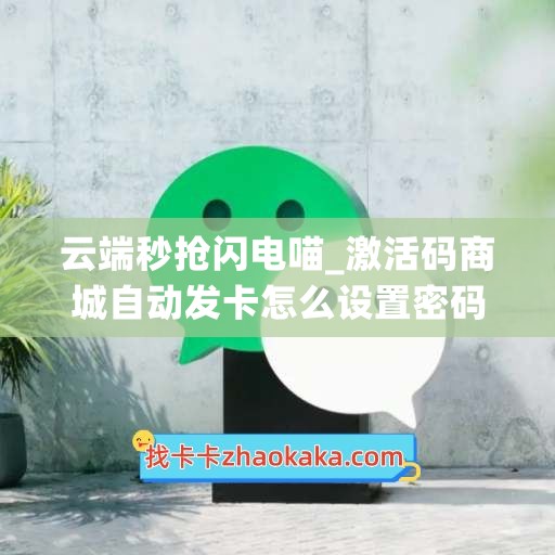 云端秒抢闪电喵_激活码商城自动发卡怎么设置密码