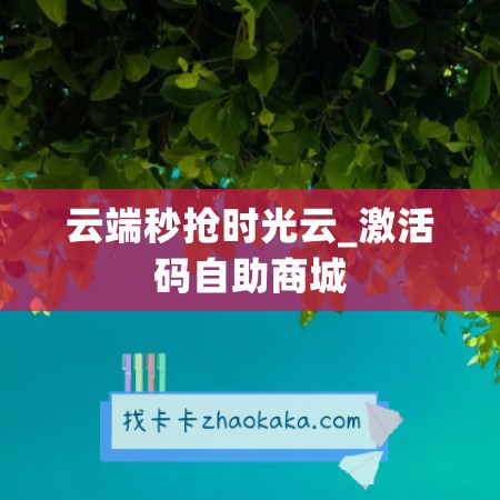 云端秒抢时光云_激活码自助商城