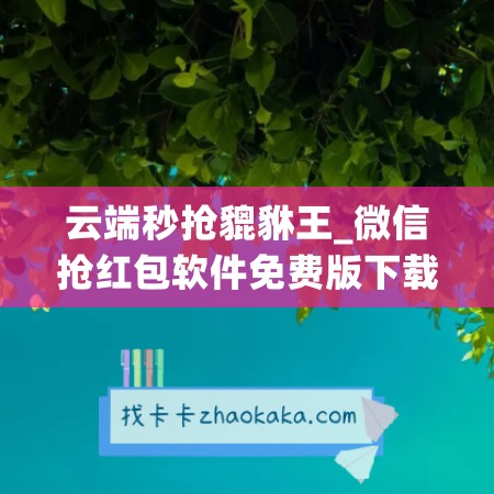 云端秒抢貔貅王_微信抢红包软件免费版下载安装苹果手机(云端秒抢神器)