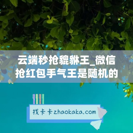 云端秒抢貔貅王_微信抢红包手气王是随机的吗