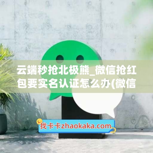 云端秒抢北极熊_微信抢红包要实名认证怎么办(微信抢红包会有什么风险吗)