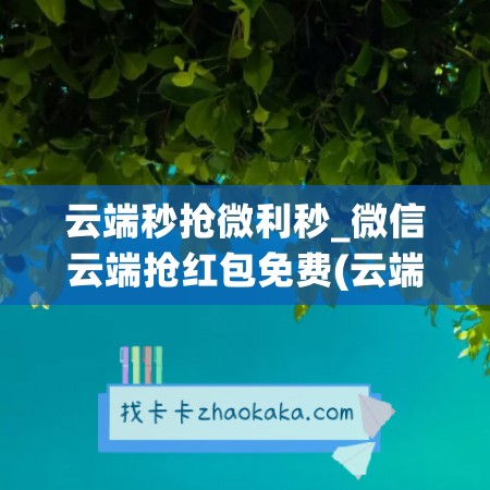 云端秒抢微利秒_微信云端抢红包免费(云端秒抢红包软件下载)