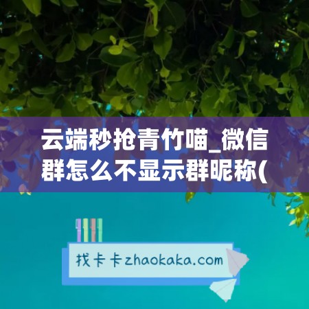 云端秒抢青竹喵_微信群怎么不显示群昵称(微信群怎么不出现)