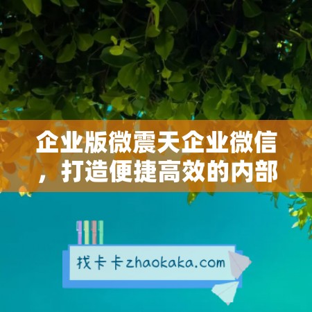 企业版微震天企业微信，打造便捷高效的内部沟通平台