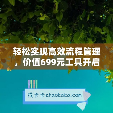 轻松实现高效流程管理，价值699元工具开启您的成功之路