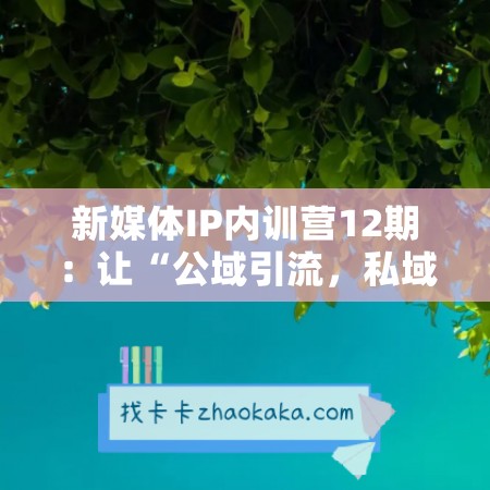 新媒体IP内训营12期：让“公域引流，私域成交”成为你的IP打法