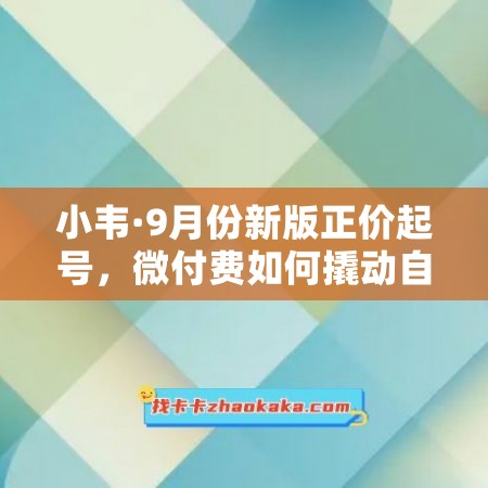 小韦·9月份新版正价起号，微付费如何撬动自然流