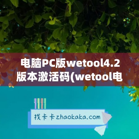 电脑PC版wetool4.2版本激活码(wetool电脑版怎么用)