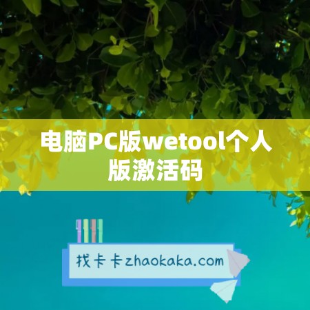 电脑PC版wetool个人版激活码