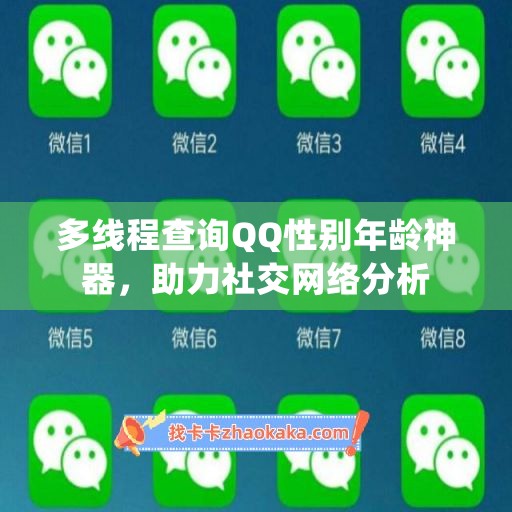 多线程查询QQ性别年龄神器，助力社交网络分析