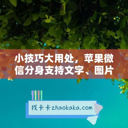 小技巧大用处，苹果微信分身支持文字、图片、视频、语音，让聊天更自由