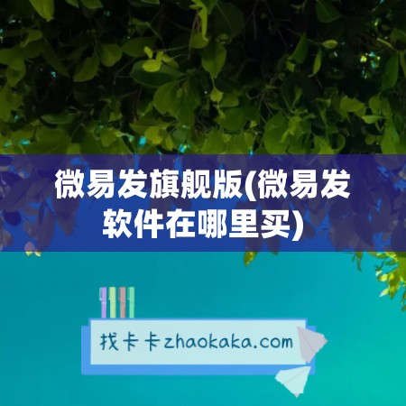 微易发旗舰版(微易发软件在哪里买)