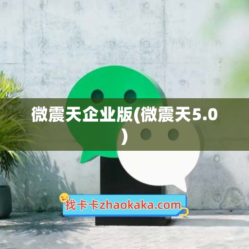 微震天企业版(微震天5.0)