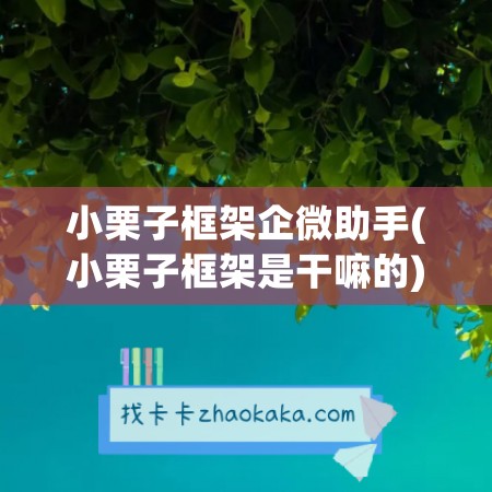 小栗子框架企微助手(小栗子框架是干嘛的)