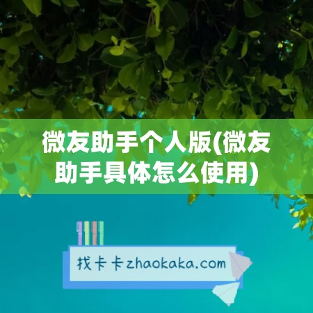 微友助手个人版(微友助手具体怎么使用)