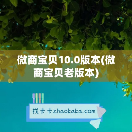 微商宝贝10.0版本(微商宝贝老版本)