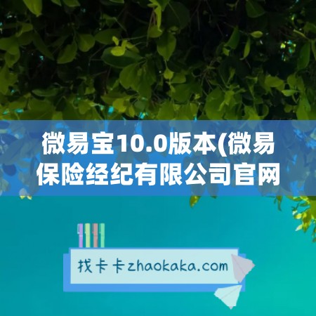 微易宝10.0版本(微易保险经纪有限公司官网)