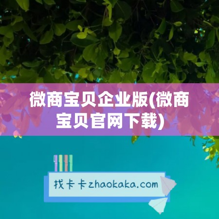 微商宝贝企业版(微商宝贝官网下载)