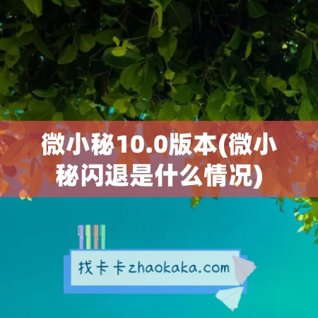 微小秘10.0版本(微小秘闪退是什么情况)