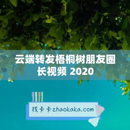 云端转发梧桐树朋友圈长视频 2020