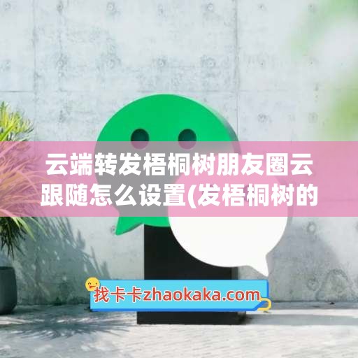 云端转发梧桐树朋友圈云跟随怎么设置(发梧桐树的朋友圈)