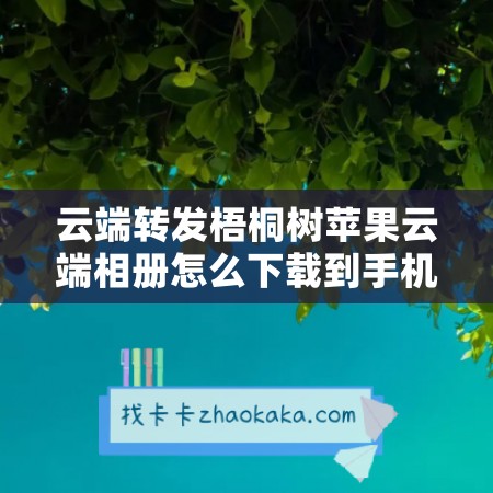 云端转发梧桐树苹果云端相册怎么下载到手机