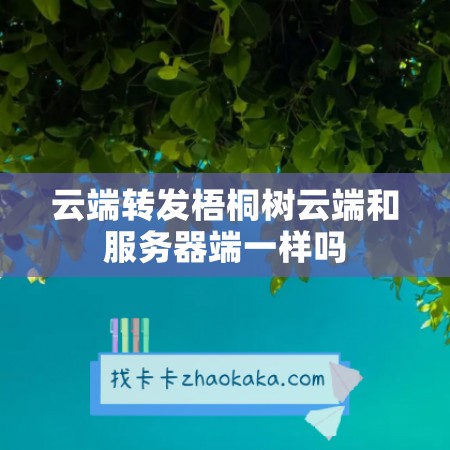 云端转发梧桐树云端和服务器端一样吗